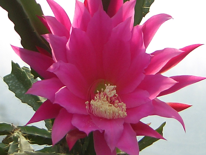 eh ueberraschung 294 0928