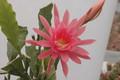 eh zimmerschmuck 92 02