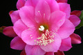 eh wilma paetz 1161 4361