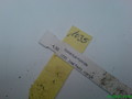 eh jose paetz 1035 201