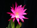 eh ueberraschung 294 04 1