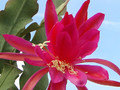 eh erfurter gartenschau 23 1310