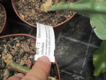 eh albolaza 5079 19