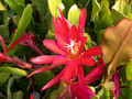 eh erfurter gartenschau 23 01