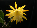 eh vista sun 9689 04