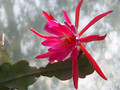 eh erfurter gartenschau 23 0907