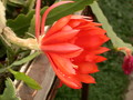 eh witwatersrand 9750 632