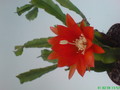 eh jose paetz 1035 198
