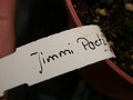 eh jimmi paetz 1078 348