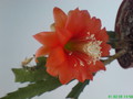 eh knebels glueck 231 202