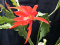 eh hunsrück charme x sylter fruehling 07