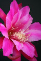 eh clara saunders 5665 8013