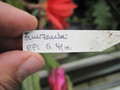 eh feuerzauber 157 9909