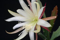eh aztec star w 5260 6889