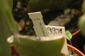 eh zaffaria 9931 17