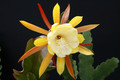 eh william clark 9770 5076