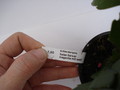 schlumbergera salsa dancer 1592