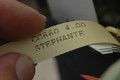 schlumbergera stephanie 8255