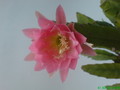 eh tk 0501 212