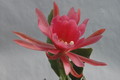 eh harmonie 01