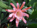 eh jutta 7290 0014