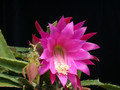 eh ueberraschung 294 06 1