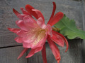 eh lovely lady 7580 0112