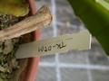 eh eh tk0501 584