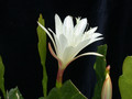 eh innisfree 7190 01