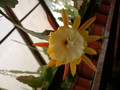 eh william clark 9770 622