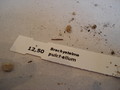 brachystelma pulchellum 154