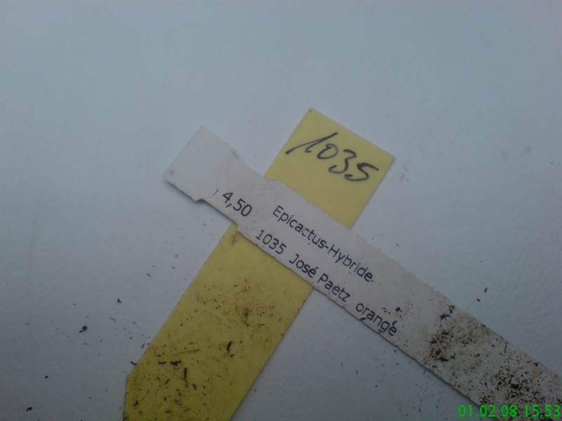 eh jose paetz 1035 201