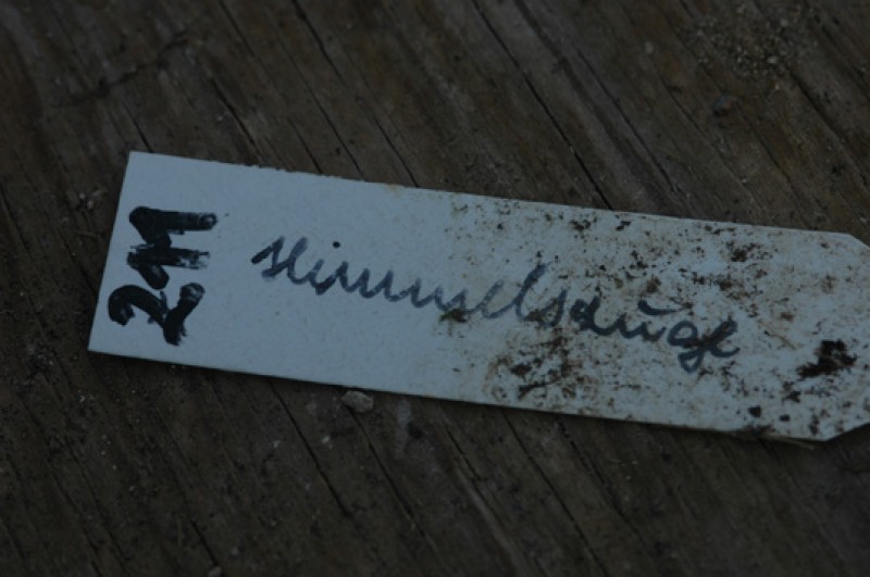 eh himmelsauge 211 12