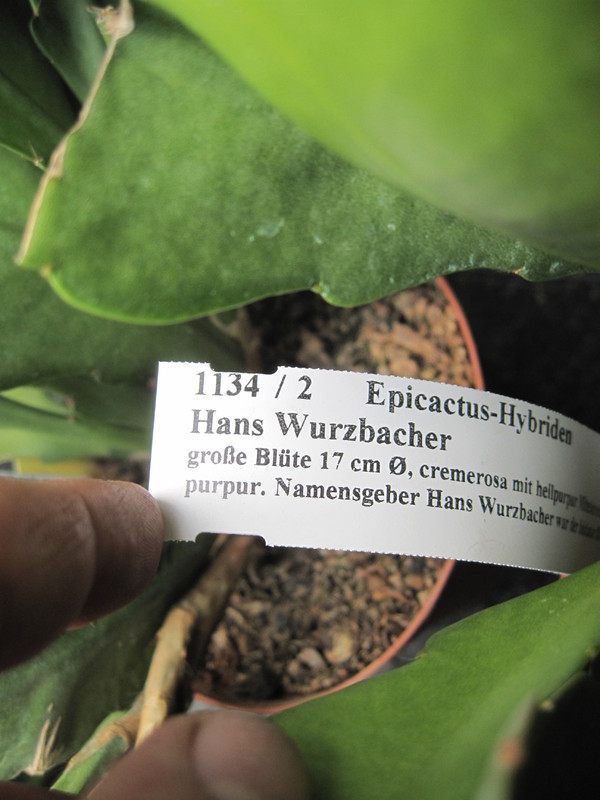 eh hans wurzbacher 1134 9995