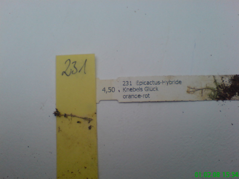 eh knebels glueck 231 205