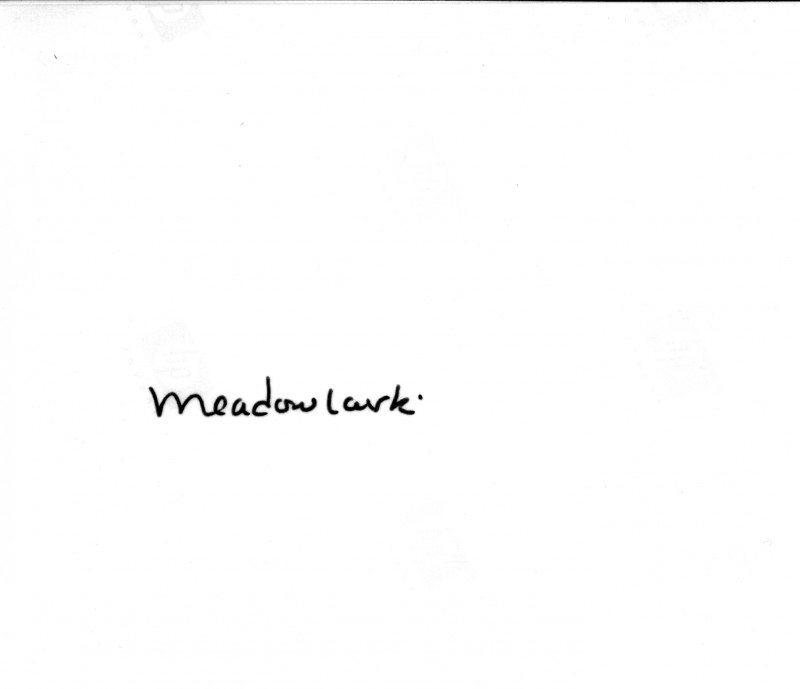 eh meadowlark 62