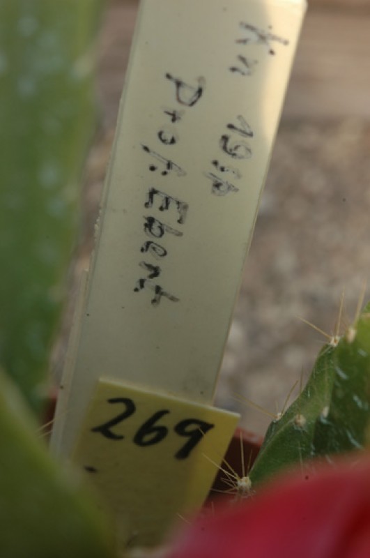 eh prof ebert 269 05